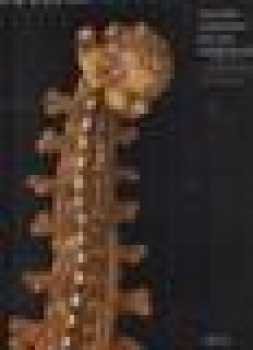 Musikinstrumente von den Anfängen bis zur Gegenwart