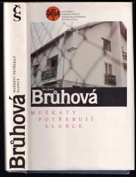 Muškáty potřebují slunce