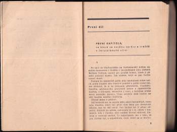 Emil Vachek: Muž a stín