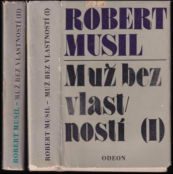 Muž bez vlastností