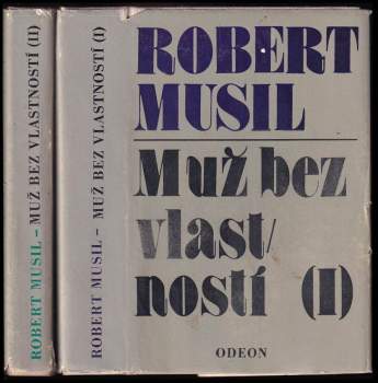 Muž bez vlastností