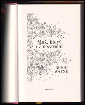 Rosie Walsh: Muž, který už nezavolal