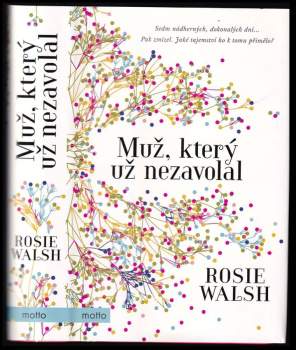 Rosie Walsh: Muž, který už nezavolal