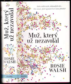 Rosie Walsh: Muž, který už nezavolal