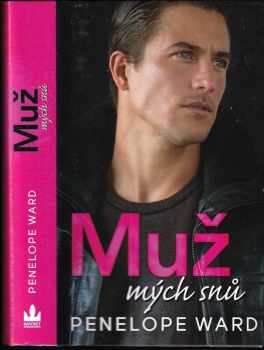 Penelope Ward: Muž mých snů