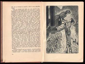 Konrad Haemmerling: Muž, nazývaný Shakespeare