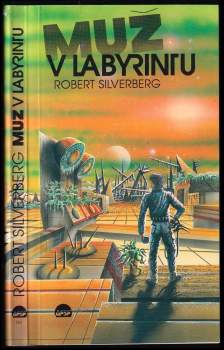Muž v labyrintu