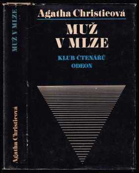 Muž v mlze