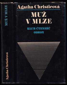 Muž v mlze