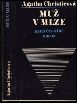 Muž v mlze