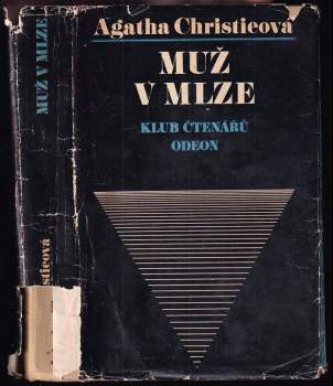 Muž v mlze