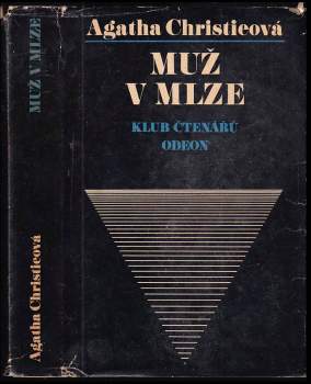 Muž v mlze