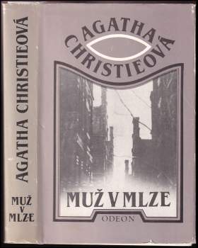 Muž v mlze