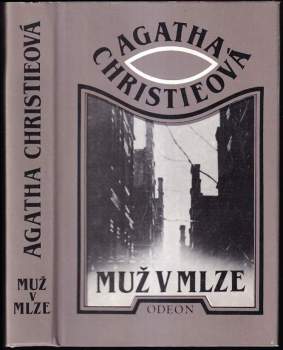 Muž v mlze