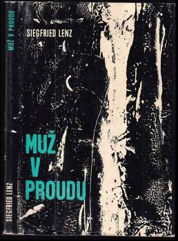 Muž v proudu