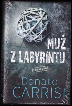 Muž z labyrintu