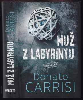 Muž z labyrintu
