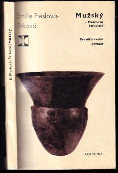 Mužský u Mnichova Hradiště