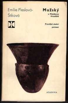 Mužský u Mnichova Hradiště