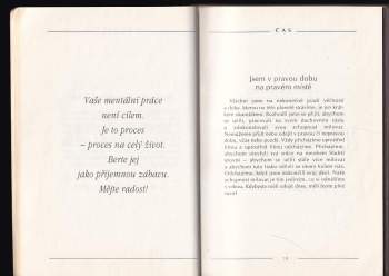 Louise L Hay: Myšlenky srdce