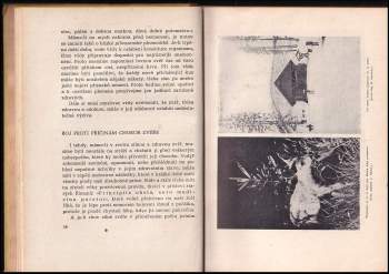 Otakar Kokeš: Myslivecká péče o zvěř