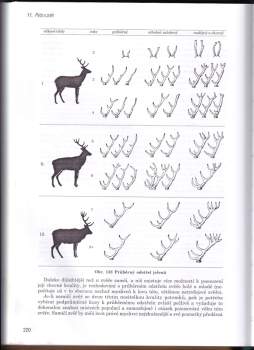 Josef Hromas: Myslivost