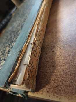 Stanislav Procházka: Myslivost v zemích českých