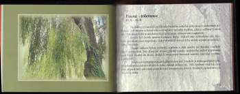 Rudolf Steiner: Mysterium ročních dob