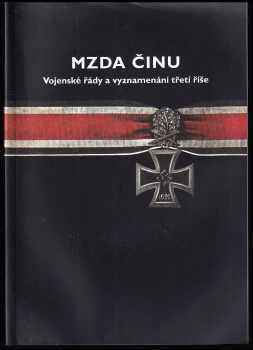 Mzda činu
