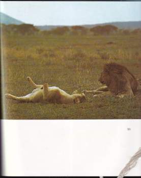 Josef Vágner: Mzuri Africa