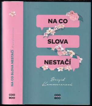 Brigid Kemmerer: Na co slova nestačí