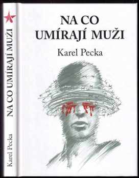 Karel Pecka: Na co umírají muži