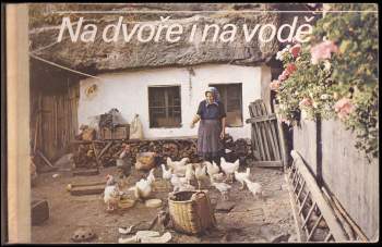 Na dvoře i na vodě