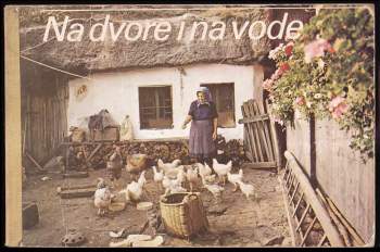 Na dvore i na vode
