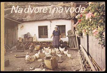 Na dvore i na vode