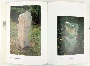 Jiří Blahota: Na kopci v Hrachovci