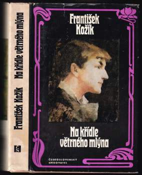 Na křídle větrného mlýna : životní příběh malířky Zdenky Braunerové a lidí kolem ní