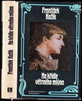 Na křídle větrného mlýna