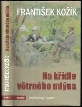 Na křídle větrného mlýna