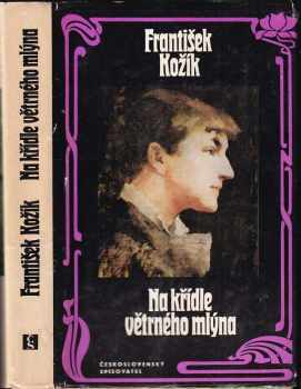 Na křídle větrného mlýna