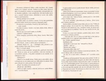 Shannon Drake: Na křídlech touhy