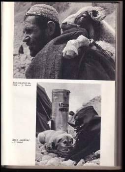 Vladimír Šedivý: Na ledovcích Váchánu