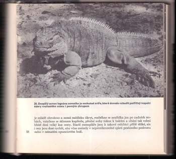 Zdeněk Vogel: Na lovu vzácných krokodýlů