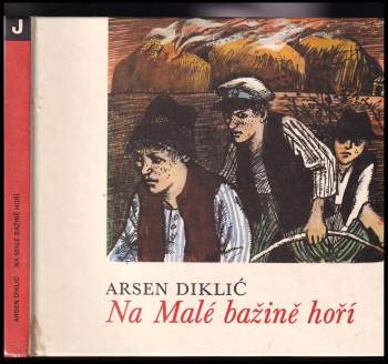 Na Malé bažině hoří