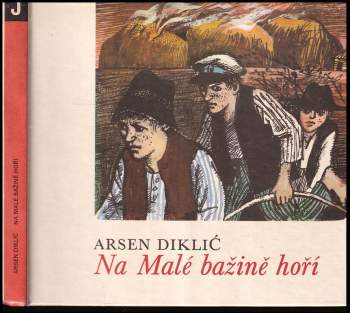 Na Malé bažině hoří
