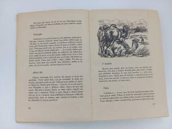 Boris Stepanovič Žitkov: Na moři