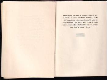 Donát Sajner: Na motiv z Oněgina