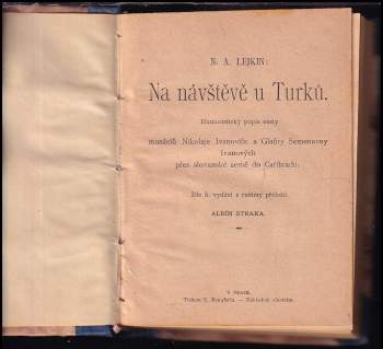 Nikolaj Aleksandrovič Lejkin: Na návštěvě u Turků