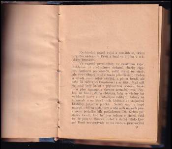 Nikolaj Aleksandrovič Lejkin: Na návštěvě u Turků