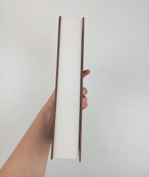 Jiří Rajlich: Na nebi hrdého Albionu